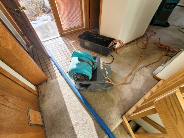 Best Basement water damage restoration  in Roseland, OH