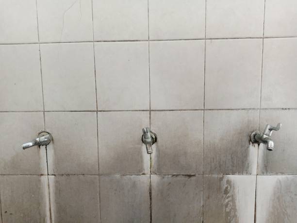 Best 24/7 water damage repair  in Roseland, OH